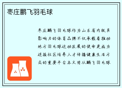 枣庄鹏飞羽毛球
